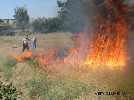 Arazi Yangınları Konusunda Vatandaşlara Uyarı