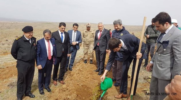 Başkan Fatih Çiftçi, Şehit Polis Memuru Semih Turgut Anısına Fidan Dikip Mezarı Başında Dua Etti