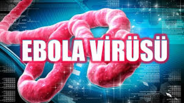 Çağın Vebası'' Ebola Virüsü Nedir?