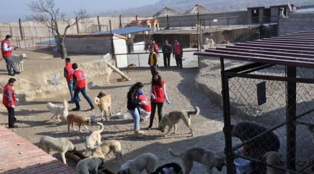Gençlik Merkezleri, Ürgüp Belediyesine ait Geçici Köpek Bakımevi’ni ziyaret etti.