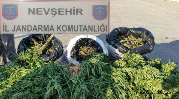 Nevşehir Jandarmasından Uyuşturucu Operasyonu.
