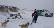 Nevşehir Jandarması Sokak Hayvanları İçin Araziye Mama ve Su Bıraktı.