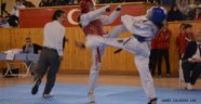 Analig Taekwondo Yarı Final Müsabakaları Nevşehir'de Gerçekleştirildi.