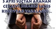 5 Ayrı Suçtan Aranan Cezaevi Firarisi Şahıs Kıskıvrak Yakalandı.