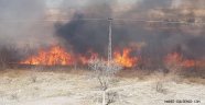 Gülşehir'de Çıkan Yangın, Korkuya Neden Oldu!