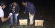 Nevşehir ziraat odası, 100 Çiftçi’ye 900 Çıta Arı Dagıtımı Yaptı 