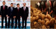 Nevşehir Milletvekillerinden Patates Çiftçisine Müjde!