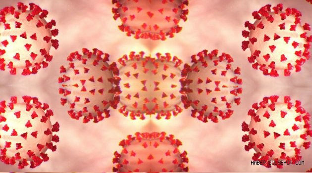 "10 Nisan 2021" Nevşehir İl geneli Koronavirüs günlük vaka tablosu: