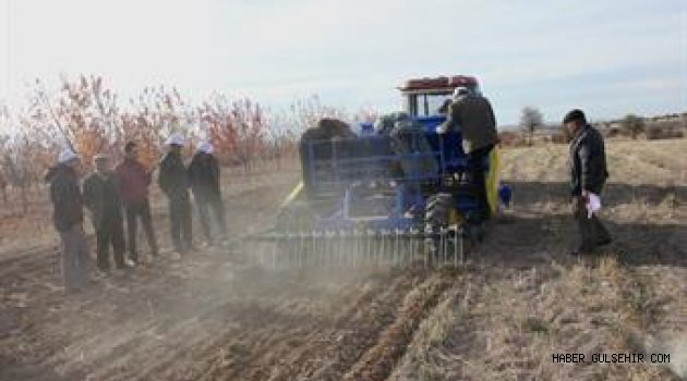 ANIZA TOHUM EKİMİ YAPILDI