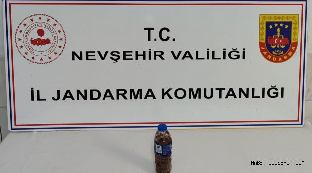 Gülşehir'de Bonzai Ele Geçiridi.