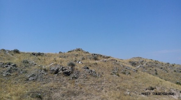 Hastane Hala Yok, İmam Hatiple İdare Edin!