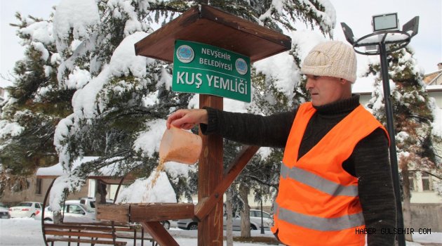 Kuşlar Aç Kalmasın