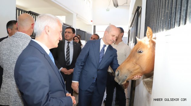 Türkiye'de İlk Kez “Uyarlanmış Binicilik Eğitmenliği Programı” NEVÜ Atçılık MYO Bünyesinde Hayata Geçirilecek