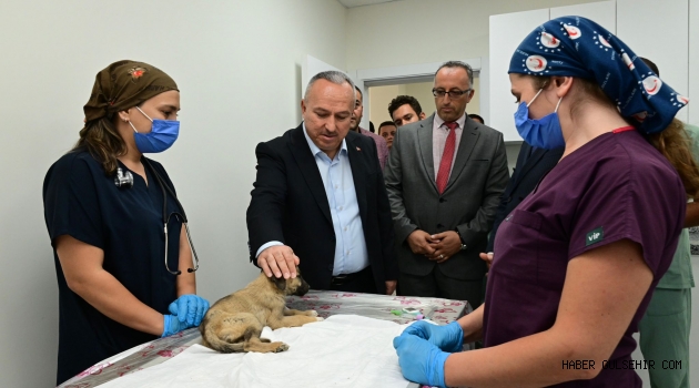 Vali Fidan, Sahipsiz Sokak Hayvanları Meselesini Nevşehir'imizin Gündeminden Çıkartıyoruz.