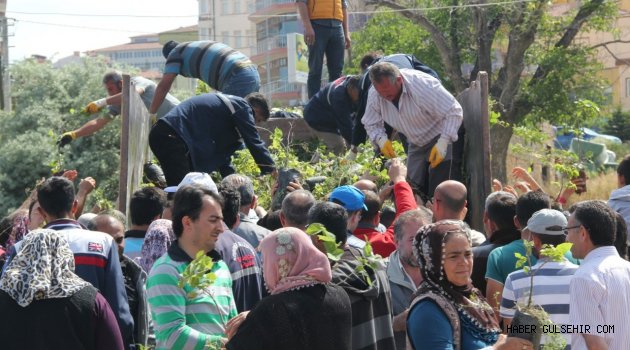 NEVŞEHİR BELEDİYESİ 8 NİSAN’DA 30 BİN FİDAN DAĞITACAK