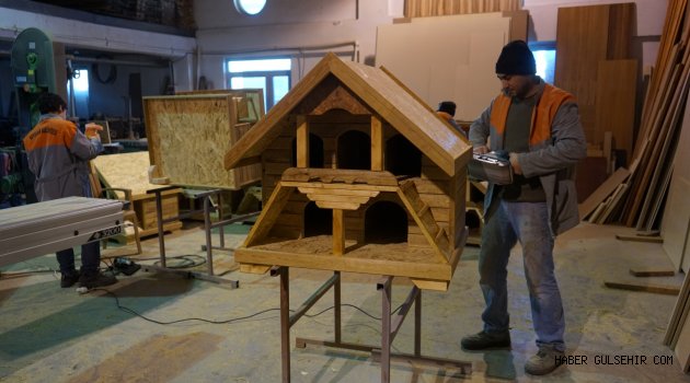 NEVŞEHİR BELEDİYESİ’NDEN KEDİ EVLERİ