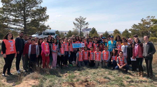 Nevşehir’de Tema Şenlikleri Kapsamında Fidanlar Toprakla Buluştu