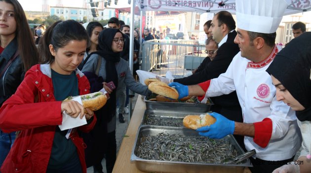 NEVÜ’de 7. Geleneksel Mangalda Hamsi Şöleni
