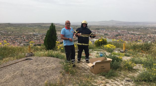 RAMAZAN BAYRAMI 11 PARE TOP ATIŞI İLE KARŞILANDI