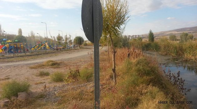 Sadabat Parkı'ndaki Sessiz Ölüm Minik Elleri Tehdit etmeye Devam ediyor.