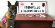 Yabancı Uyruklu 16 Kişi Üzerinde Uyuşturucu Ele geçirildi.