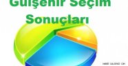 1 Kasım Genel Seçim Gülşehir Sonuçları