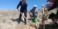 Vali Aktaş, Fidan Dikimi Etkinliğine Katıldı