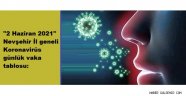 "2 Haziran 2021" Nevşehir İl geneli Koronavirüs günlük vaka tablosu: 