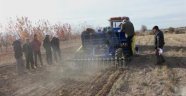 ANIZA TOHUM EKİMİ YAPILDI
