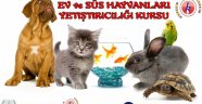 EV VE SÜS HAYVANLARI YETİŞTİRİCİLİĞİ EĞİTİMİ VERİLECEK