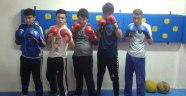Gençlik ve Spor Kulübü Boksörleri İddialı