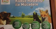 KUDUZ HASTALIĞI İLE MÜCADELE ÇALIŞMALARI
