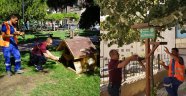 KUŞLAR VE SOKAK HAYVANLARI İÇİN PARK VE BAHÇELERE SULUK YERLEŞTİRİLDİ