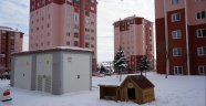 Sokak Köpekleri İçin Çeşitli Merkezlere Beslenme Odakları Yerleştiriliyor