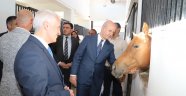 Türkiye'de İlk Kez “Uyarlanmış Binicilik Eğitmenliği Programı” NEVÜ Atçılık MYO Bünyesinde Hayata Geçirilecek