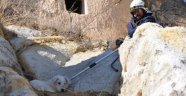 Ürgüp Belediyesi Kayalıklarda Mahsur Kalan Köpeği Kurtardı