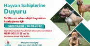 YASAKLI IRK KÖPEKLER HAYVAN KASABASI’NDA ÜCRETSİZ KISIRLAŞTIRILACAK