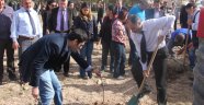 Yerel Çeşitlerin Tespiti ve Korunması Projesi Örnek Bahçe Tesisi Kuruldu.