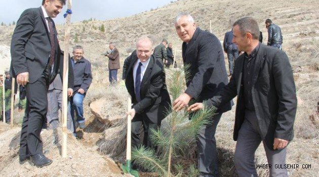 Vali Ceylan, Hatıra Ormanı'na Fidan Dikti.